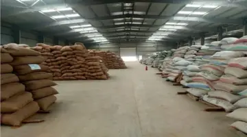 البنك الزراعي: 180 موقعًا جاهزًا لاستلام 650 ألف طن قمح خلال موسم 2026